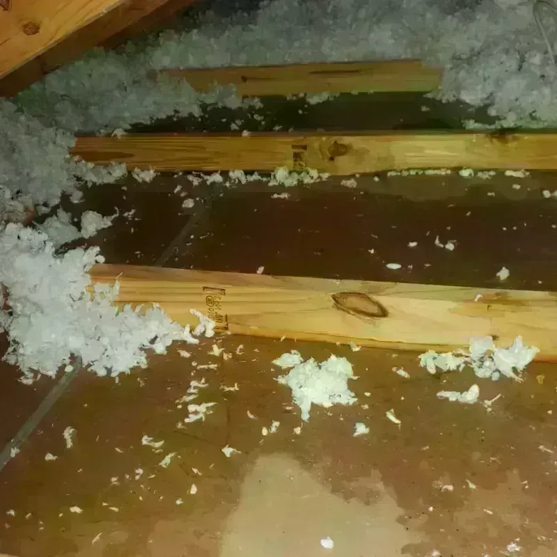 Attic Water Damage in Munroe Falls, OH